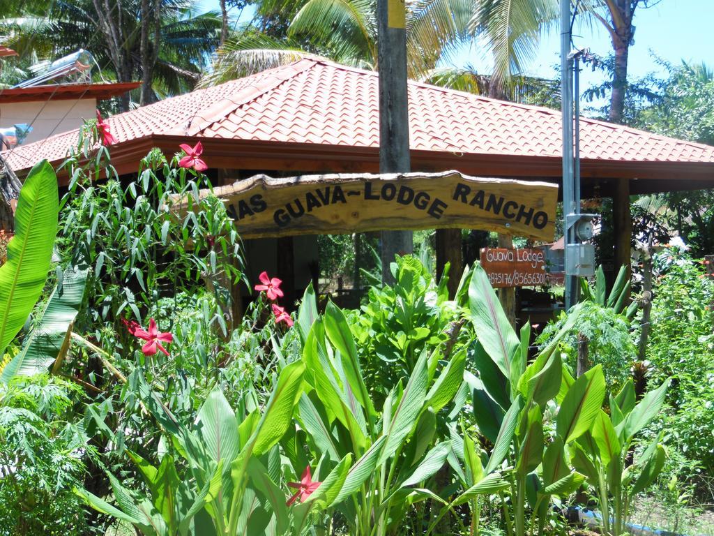 Playa Matapalo Guava Lodge מראה חיצוני תמונה