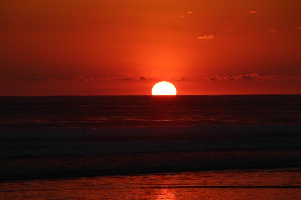 Playa Matapalo Guava Lodge מראה חיצוני תמונה